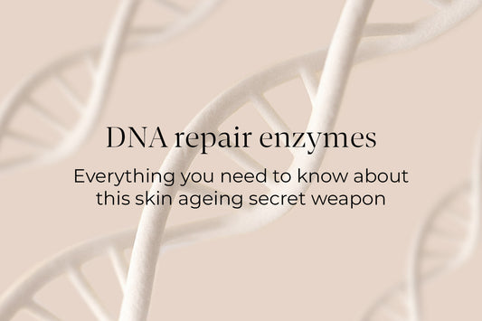 The skin ageing secret weapon: DNA repair enzymes