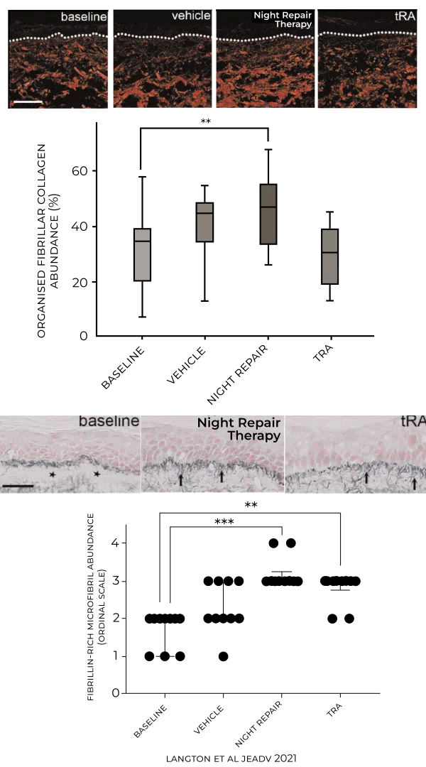 Cellular level study results